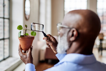 Scientist analyzing potted plant with magnifying glass at home