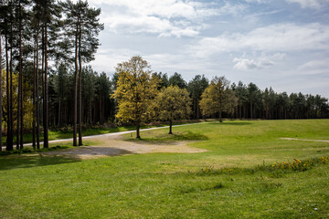 sky ,trees and grass
