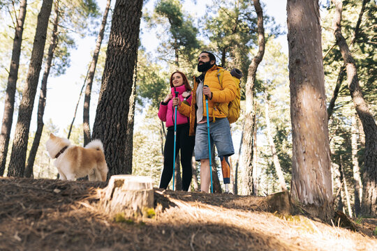 Couple with hiking pole trekking together in forest - Powered by Adobe