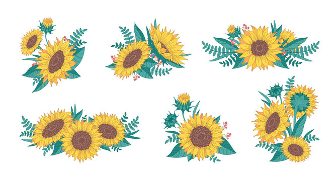 Cartoon Sunflowers Set
