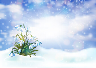 Spring snowdrop flowers in snowdrift with cloudy sky background
