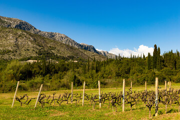 Fototapeta na wymiar Mountain landscape in Dalmatia region. Croatia