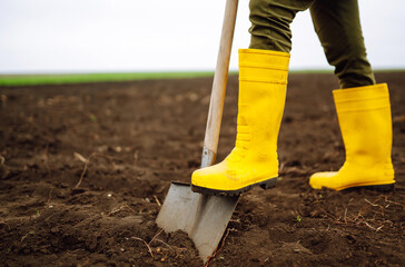 Woman wearing yellow boots digs soil with shovel. Agriculture, organic gardening, planting or...