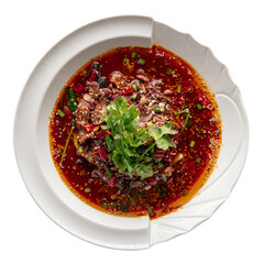 Isolated portion of asian spicy sichuan beef meat 