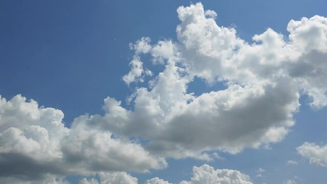 Large cumulus clouds gather, boiling and rolling across a light blue sky, timelapse