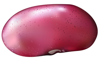 Red Bean - Colored Illustration Isolated on White Background, Vector