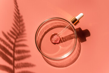 Laboratory glass petri with pipette and drop of water, serum, oil, beauty product. Natural medicine, cosmetic research, bio science. Concept of skincare and analysis. Dermatology. Flat lay, top view