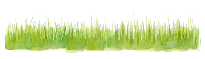 Fresh Grass Watercolor Hand Drawn and Painted © Маргарита Шевчишена