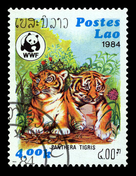 Postage stamp. Tiger cubs.