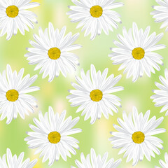 The chamomile flower. Seamless floral texture white of Daisy flower on a light green abstract background, geometric pattern