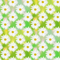 The chamomile flower. Seamless floral texture white of Daisy flower on an abstract background in the form of alternating green squares, geometric pattern.