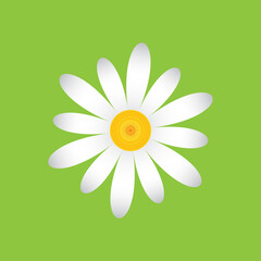 White chamomile with petals of different sizes. Single flower white daisies made of simple geometric shapes on a green background, icon.