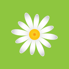 Fototapeta premium White chamomile with petals of different sizes, volume effect. Single flower white daisies made of simple geometric shapes on a green background, icon.