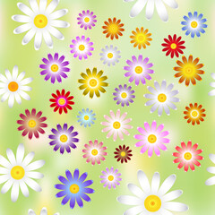 The chamomile flowers.  Floral pattern of Daisy flower different colors on a green abstract background, seamless texture