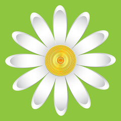 The chamomile flower. Single flower white daisies made of simple geometric shapes on a green background, 3d effect, icon