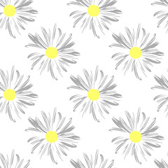 Chamomile flowers. White Daisy petals, flower arrangement on white background, seamless texture, raster illustration