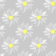 Chamomile flowers. White Daisy petals, flower arrangement on grey background, seamless texture