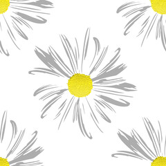 Chamomile flowers. White Daisy petals, flower arrangement on white background, seamless texture, raster illustration