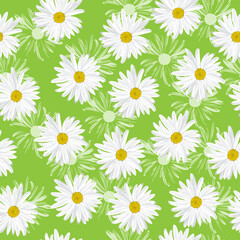 The chamomile flower. Seamless floral texture white of Daisy flower on a green background in a random arrangement square format, raster