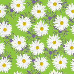 The chamomile flower. Seamless floral texture white of Daisy flower on a green background in a random arrangement square format