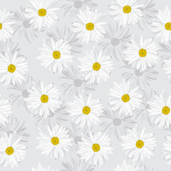The chamomile flower. Seamless floral texture white of Daisy flower on grey background