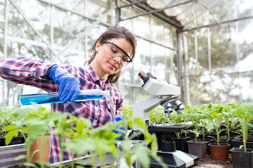 Woman agronomist doing experiment on seedling in greenhouse