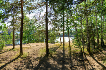 Sunny time in the forest, view of the lake from top to bottom