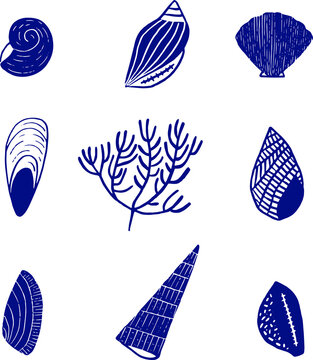 coquillages, vector, ai , jpeg , ocean, mer, coquilles, bleu , &eacute;t&eacute;, eps