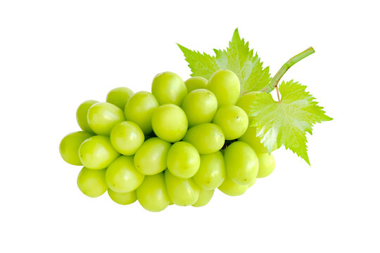 Cutout beautiful bunch of fresh green Shine Muscat grape with leaf isolated on white background