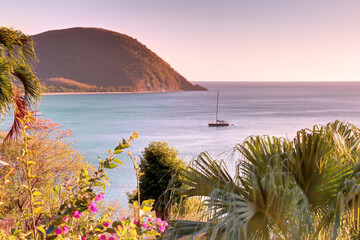 Guadeloupe Deshaies la plage de la Grande Anse.
