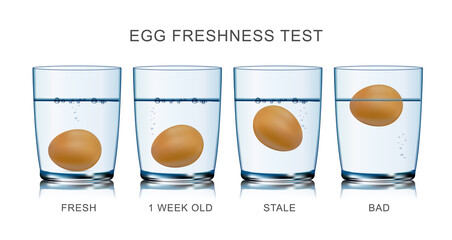 Egg Freshness Test Infographics © Macrovector