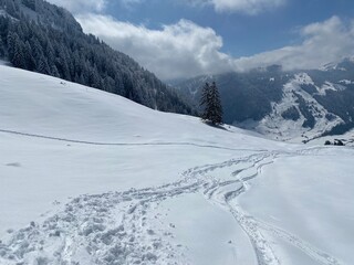 Wonderful winter hiking trails and traces on the slopes of the Alpstein mountain range and in the fresh alpine snow cover of the Swiss Alps, Nesslau - Obertoggenburg, Switzerland (Schweiz)