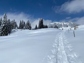 Wonderful winter hiking trails and traces on the slopes of the Alpstein mountain range and in the fresh alpine snow cover of the Swiss Alps, Nesslau - Obertoggenburg, Switzerland (Schweiz)