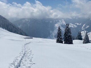 Wonderful winter hiking trails and traces on the slopes of the Alpstein mountain range and in the fresh alpine snow cover of the Swiss Alps, Nesslau - Obertoggenburg, Switzerland (Schweiz)