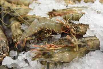 jedzenie, gastronomia, produkty spożywcze, ryby, owoce morza, 