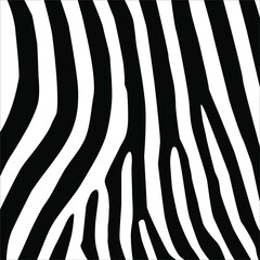 Fototapeta na wymiar Zebra Motifs Pattern. Vector Illustration