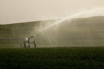 Closeup of Guns Sprinkler Irrigation System Watering Wheat Field