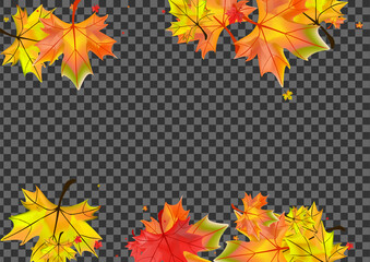 Orange Foliage Background Transparent Vector. Plant Seasonal Design. Autumnal Isolated Leaves. Shape Floral Card.