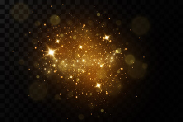 Glittering particles of fairy dust. dust particle sparkling glitter. background.Glowing light effect with glitter particles isolated.