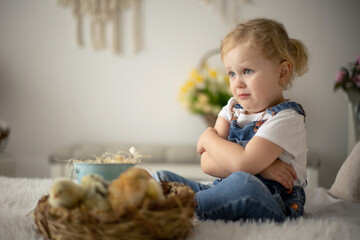 Cute child at home with little newborn chicks, enjoying, cute kid and animal friend in sunny room