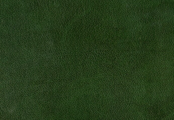 Pattern of green leather. Horizontal background