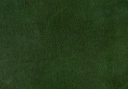 Fototapeta Pattern of green leather. Horizontal background