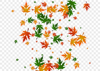 Yellow Floral Background Transparent Vector. Leaf Down Illustration. Gold Autumn. Canada Design. Green Plant November.