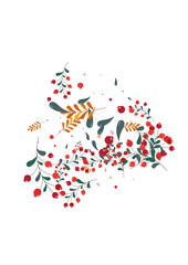 Burgundy Rowan Background White Vector. Leaf Organic Card. Green Foliage Tree. Poster Template. Berries Cartoon.