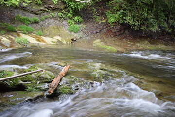 渓谷の川の流れ