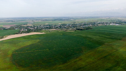 Aerial view of green agriculture fields with growing crops