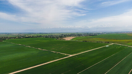 Aerial view of green agriculture fields with growing crops