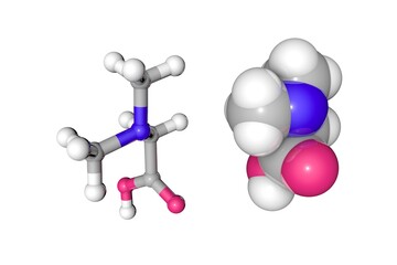 Molecular models of dimethylglycine, vitamin B16. Atoms are represented as spheres with color coding: oxygen (red), nitrogen (blue), hydrogen (white), carbon (grey). 3d illustration