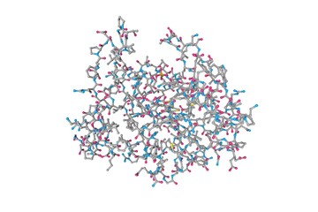 Human adenine phosphoribosyltransferase (APRTase), an enzyme encoded by the APRT gene, found on chromosome 16. Rendering based on protein data bank entry 1ore. 3d illustration