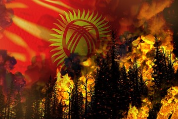 Big forest fire fight concept, natural disaster - flaming fire in the trees on Kyrgyzstan flag background - 3D illustration of nature